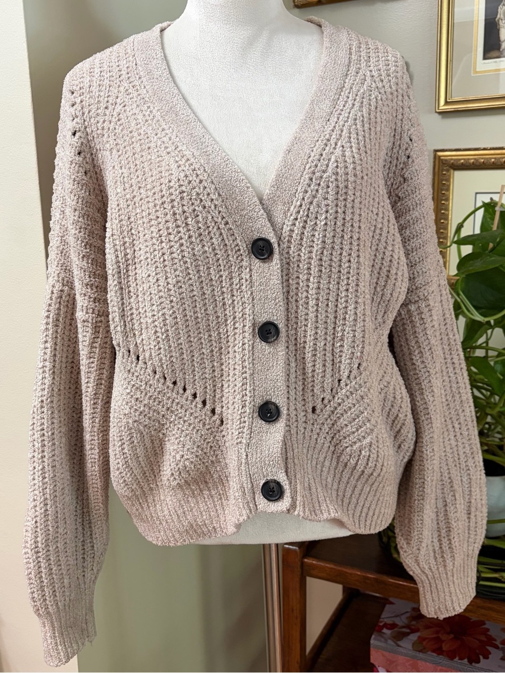American Eagle Outfitters SzLg Taupe V‑Neck Button Front Cardigan